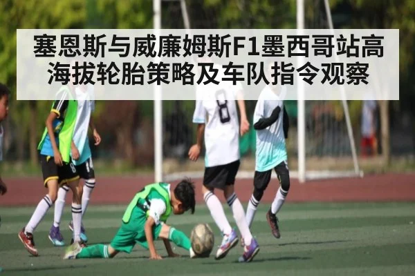 塞恩斯与威廉姆斯F1墨西哥站高海拔轮胎策略及车队指令观察
